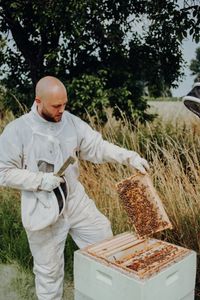 Nachhaltige Honigproduktion in Schaumburg. Regionale Produkte der Imkerei Hinse. In Helpsen, Obernkirchen und Bückeburg.